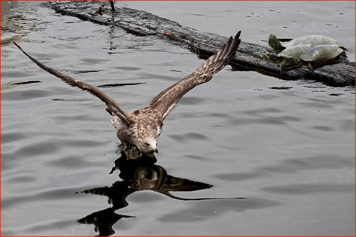 DSC_6547.jpg