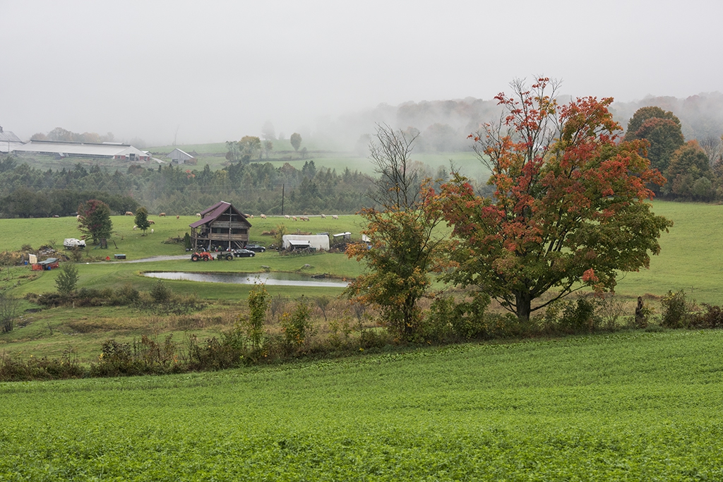 DSC_0883.jpg