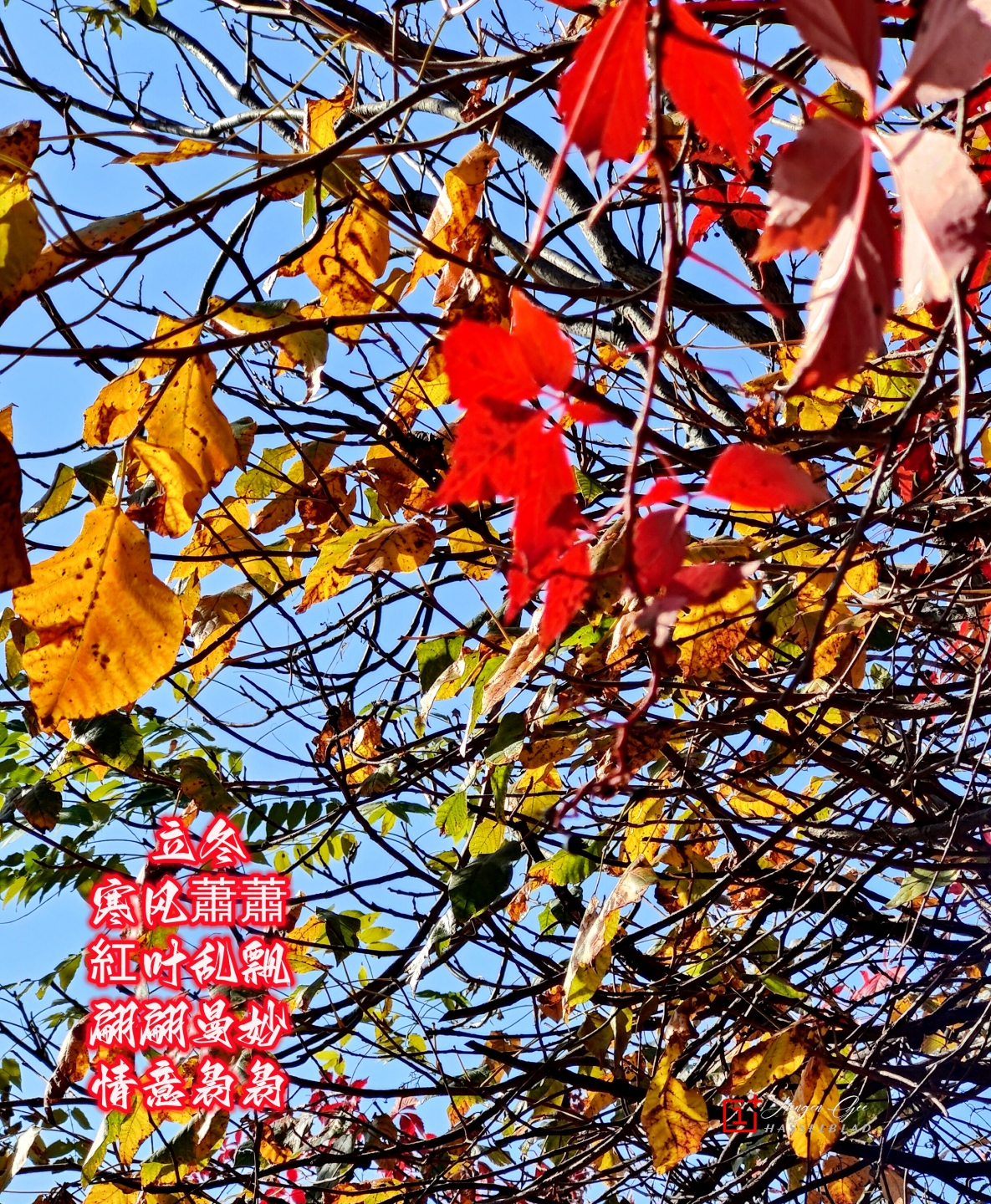 IMG20221104114254_.jpg
