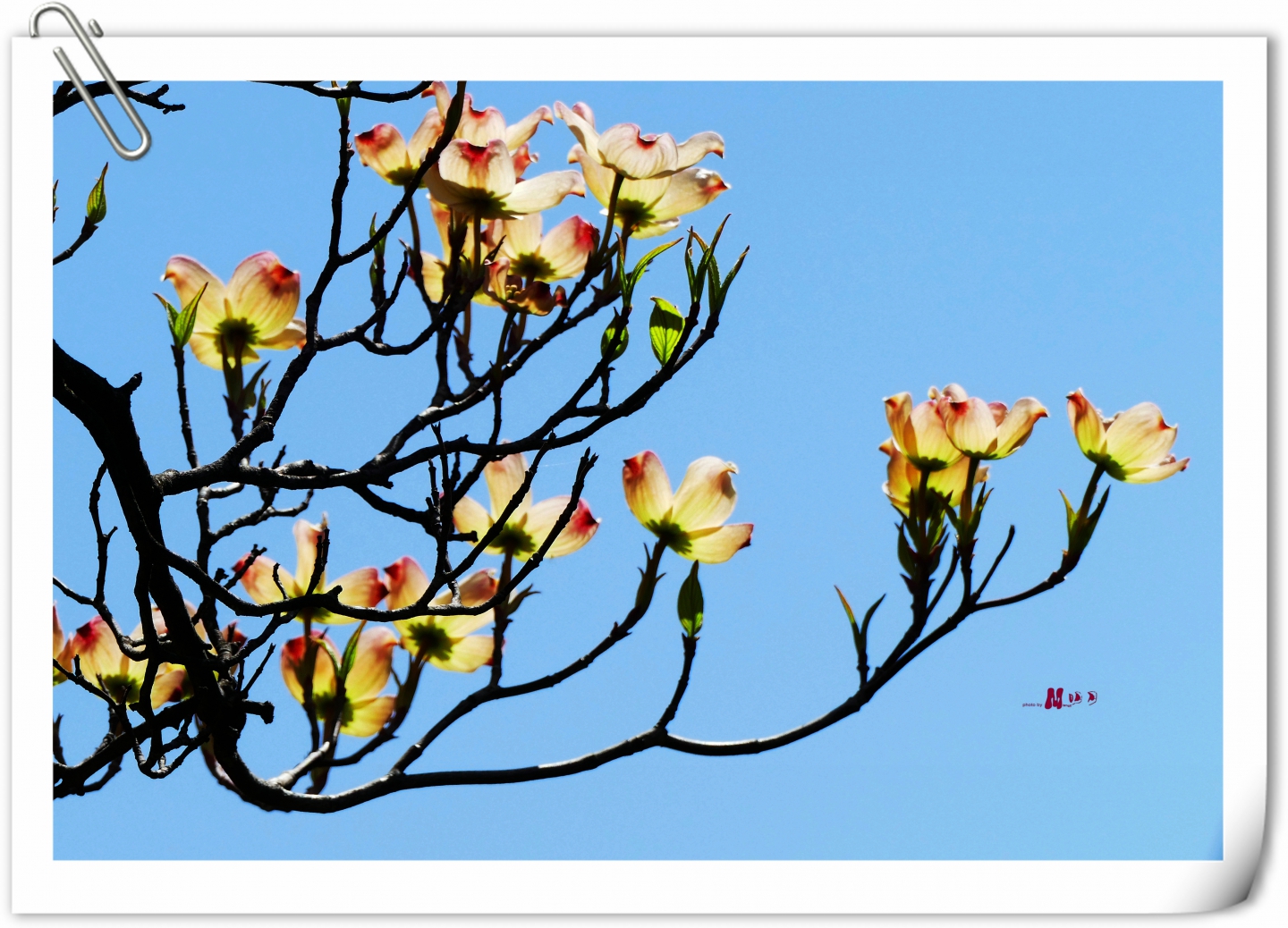 L1080362_.jpg