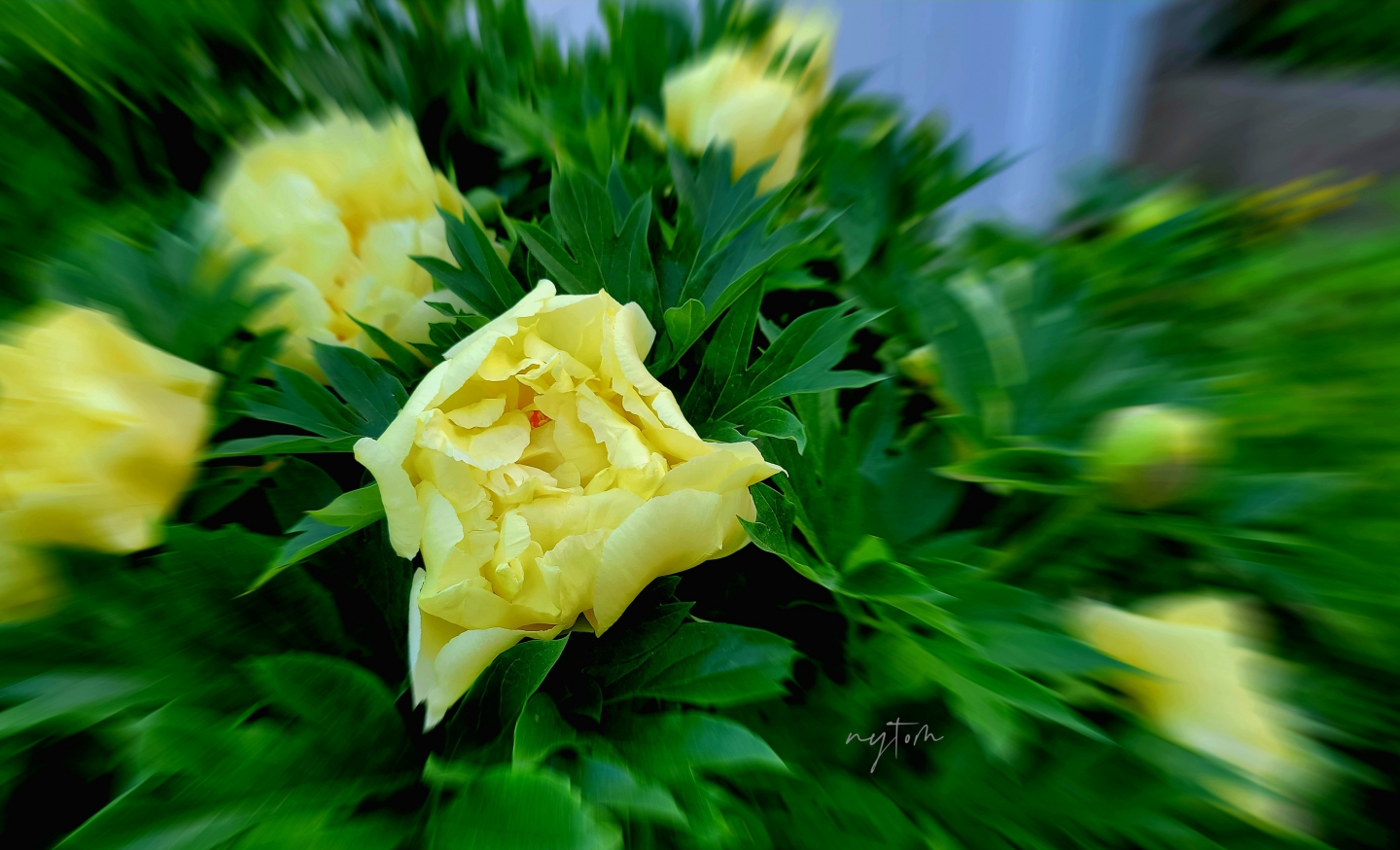 MTXX_MH20230520_213231293.jpg