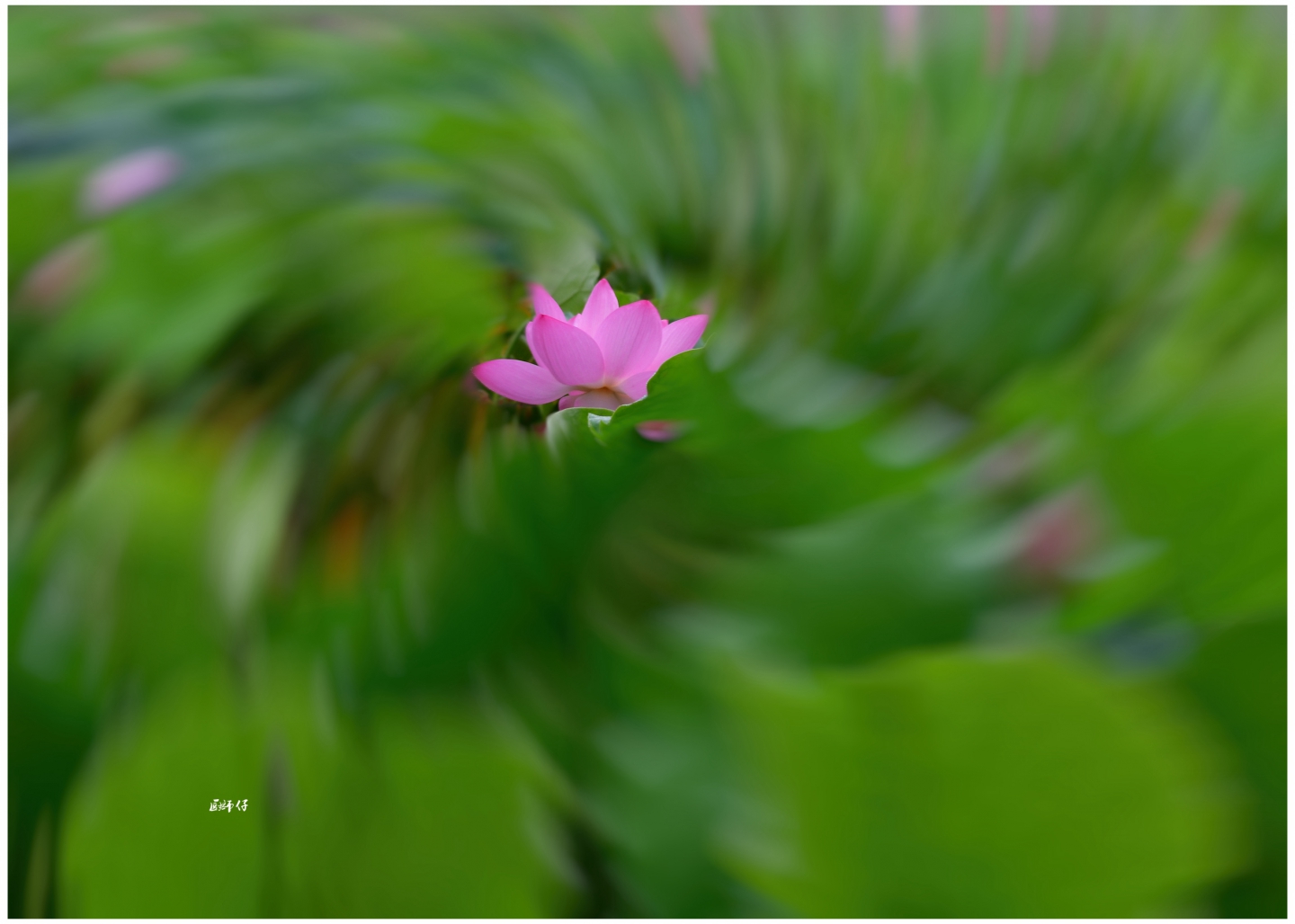 DSC_0534.jpg