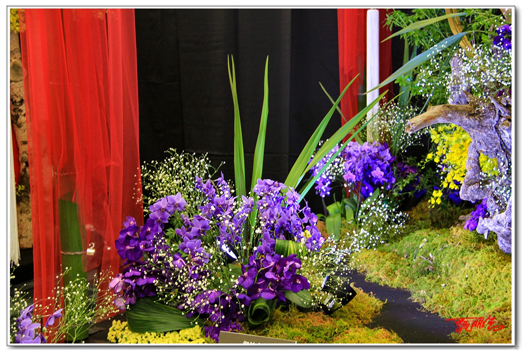 sii2014005.jpg