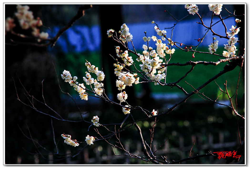 sii2014021.jpg
