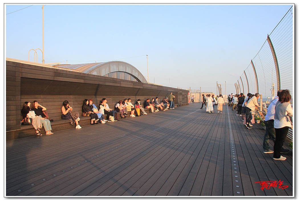 sii201409349.jpg