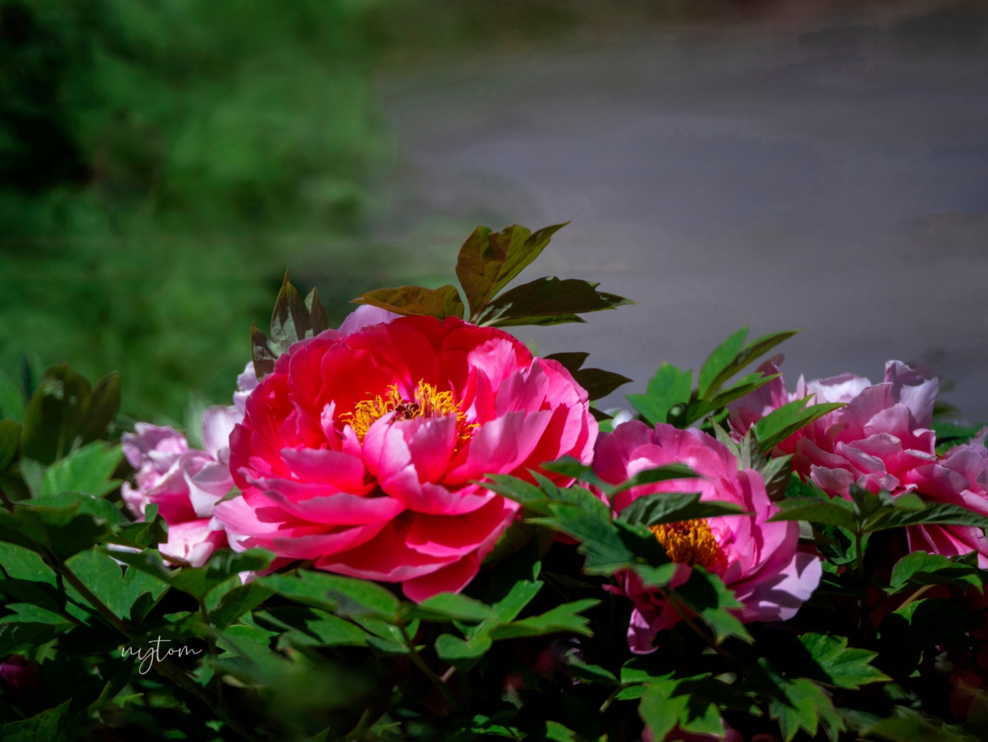 MEITU_20250502_103912559.jpg