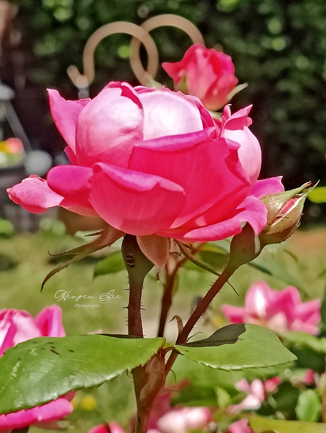 IMG20250526133355_.jpg