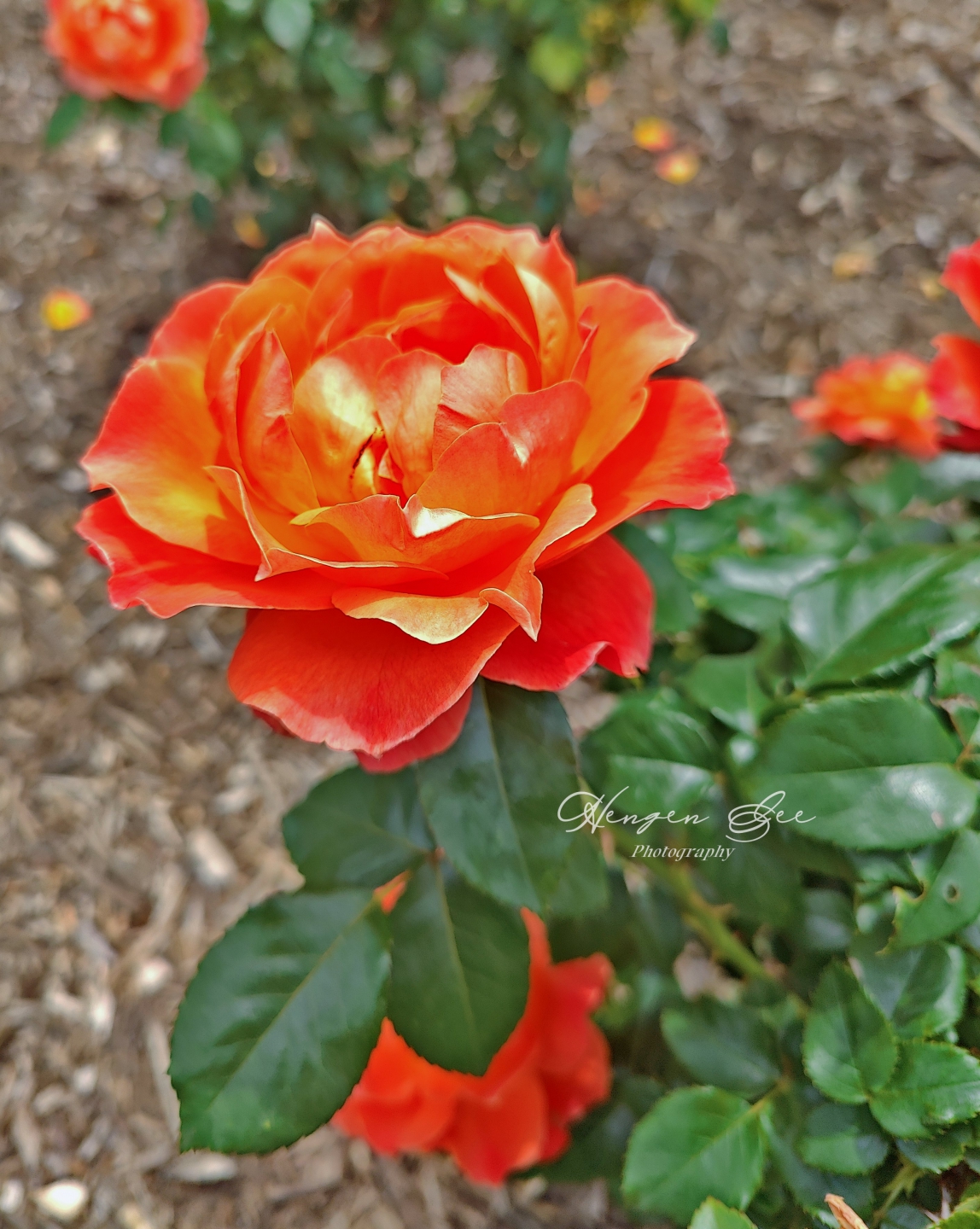 IMG20250527115712_.jpg