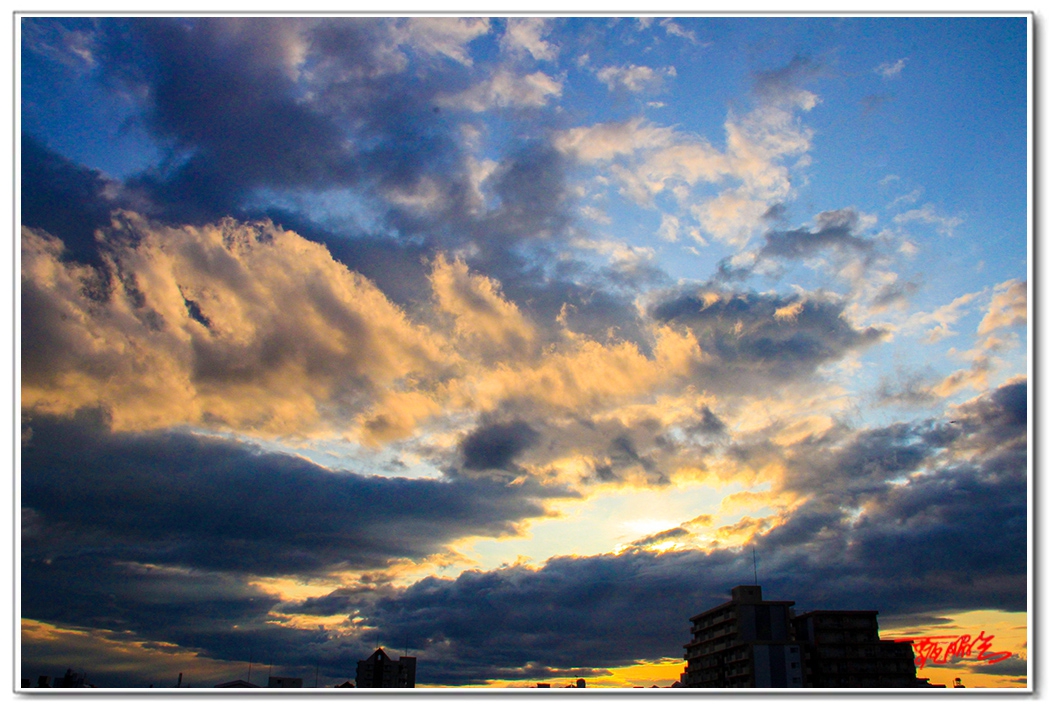 sii2014093894.jpg