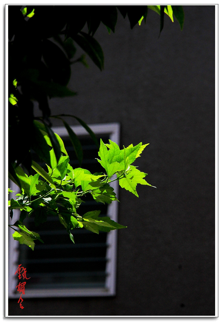 sii2014093794.jpg