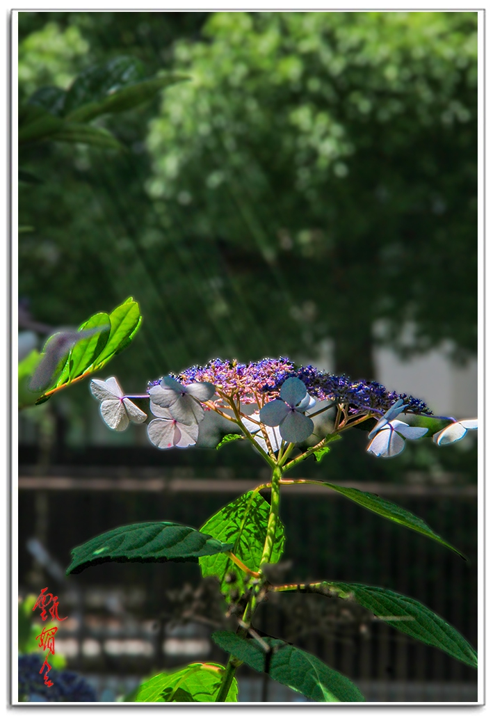 sii20140938929.jpg