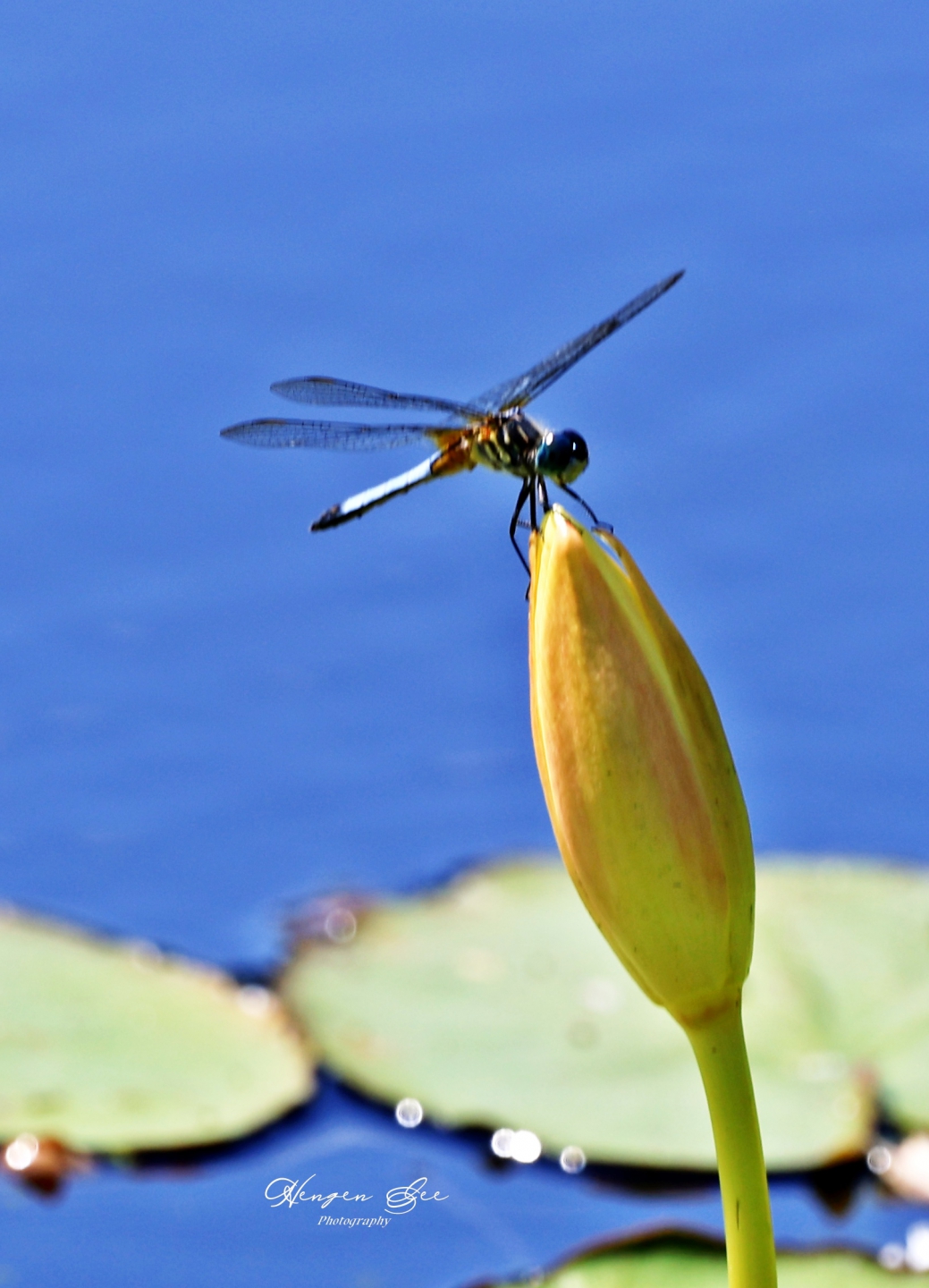 IMG_6512_.jpg