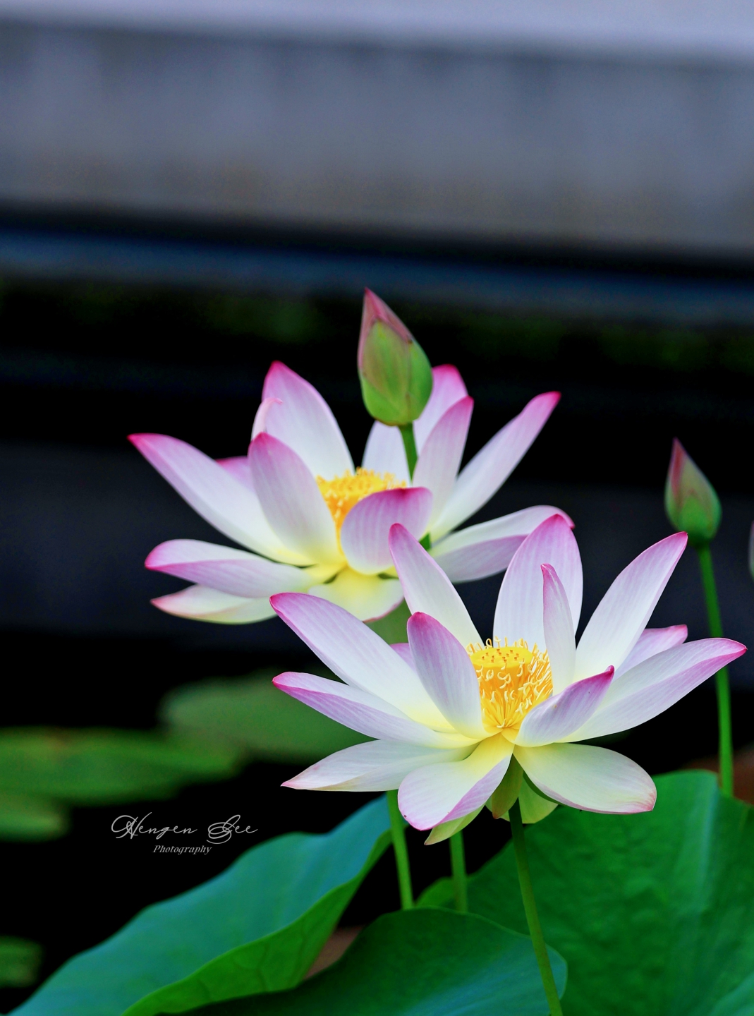 IMG_6830_.jpg