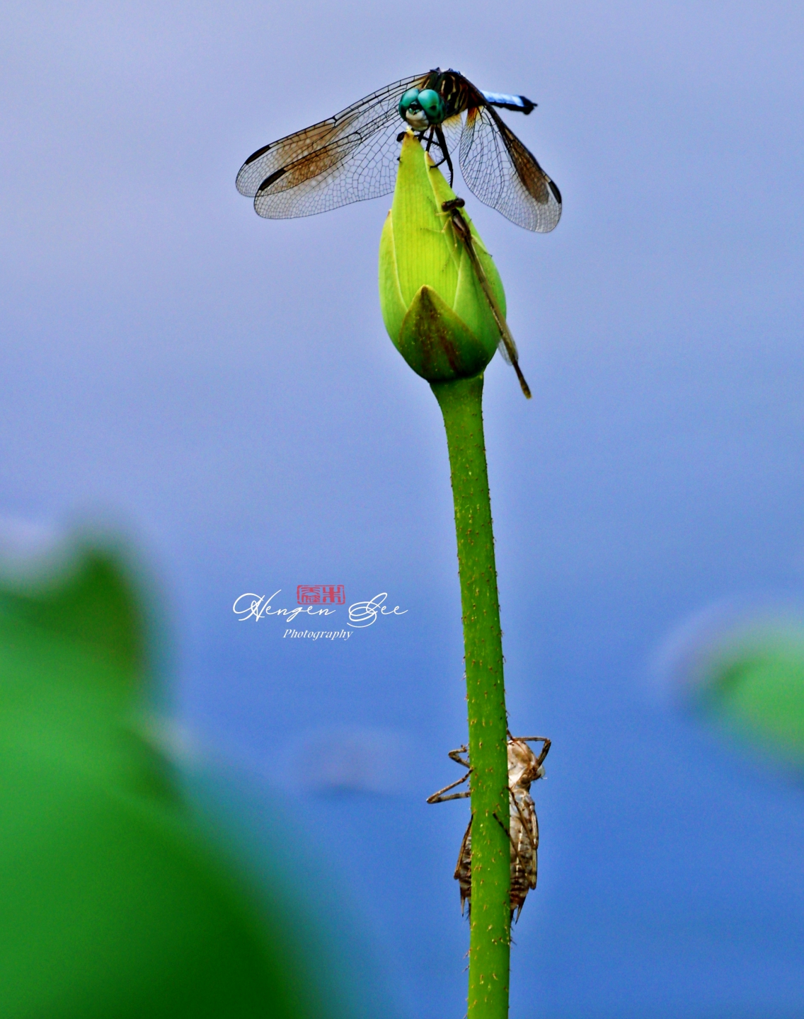 IMG_7016_.jpg