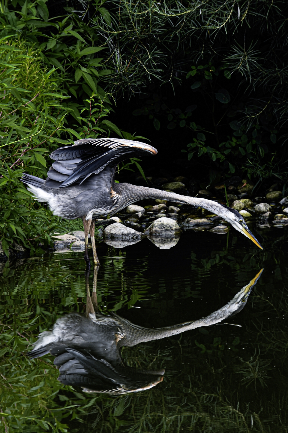 DSC_8999.jpg