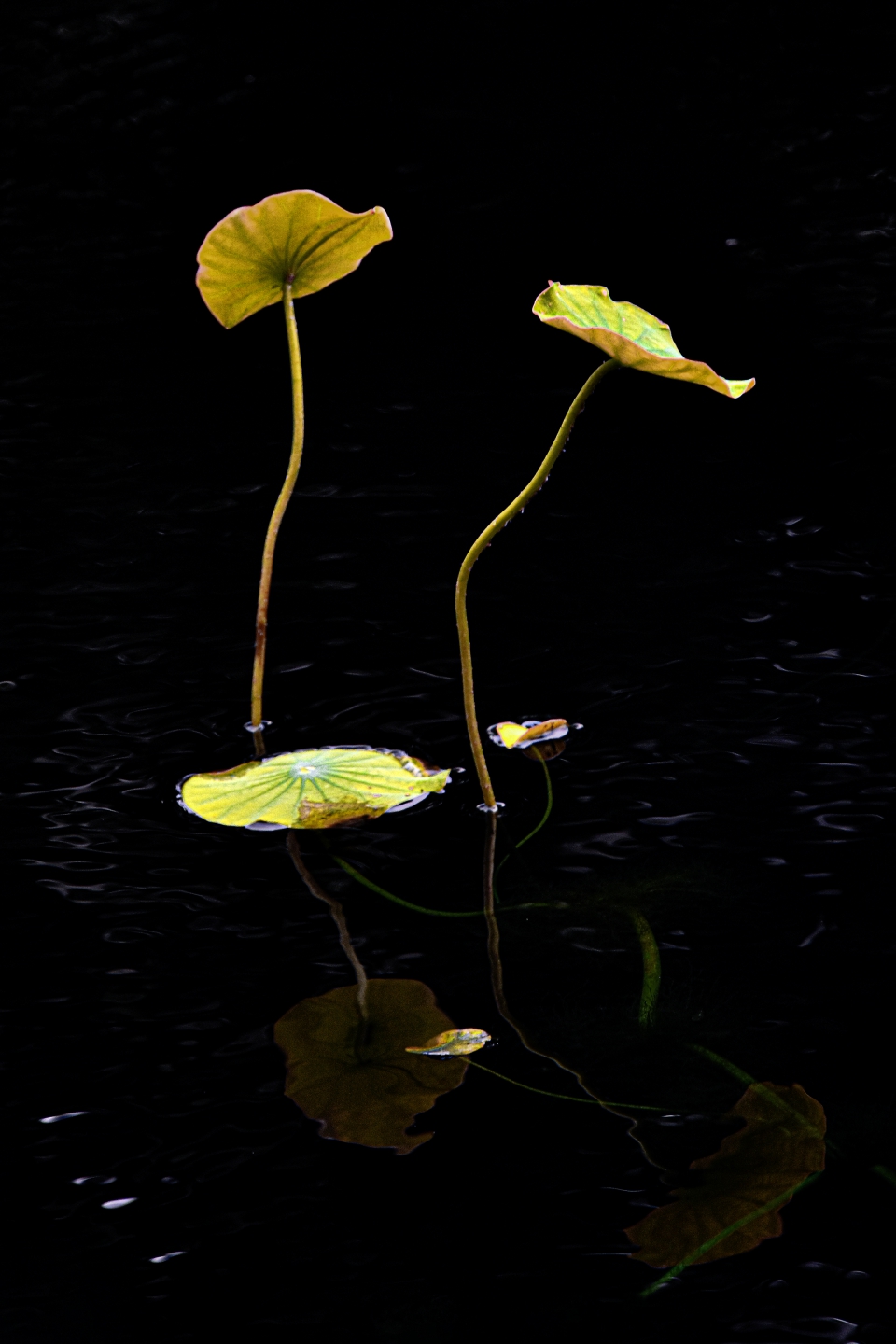 DSC_9328.jpg