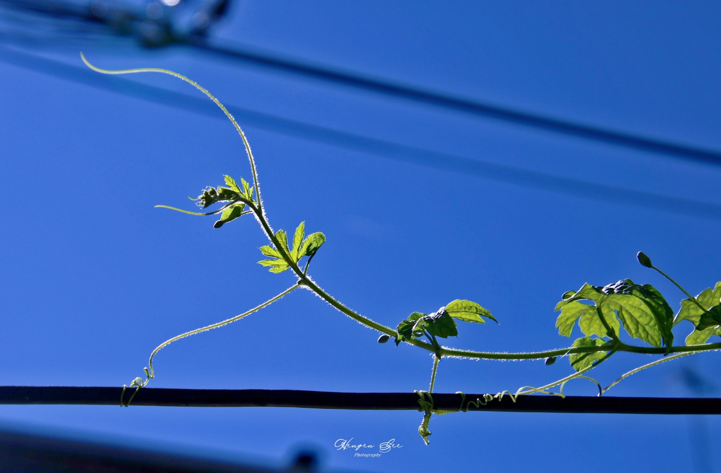IMG_9842_.jpg
