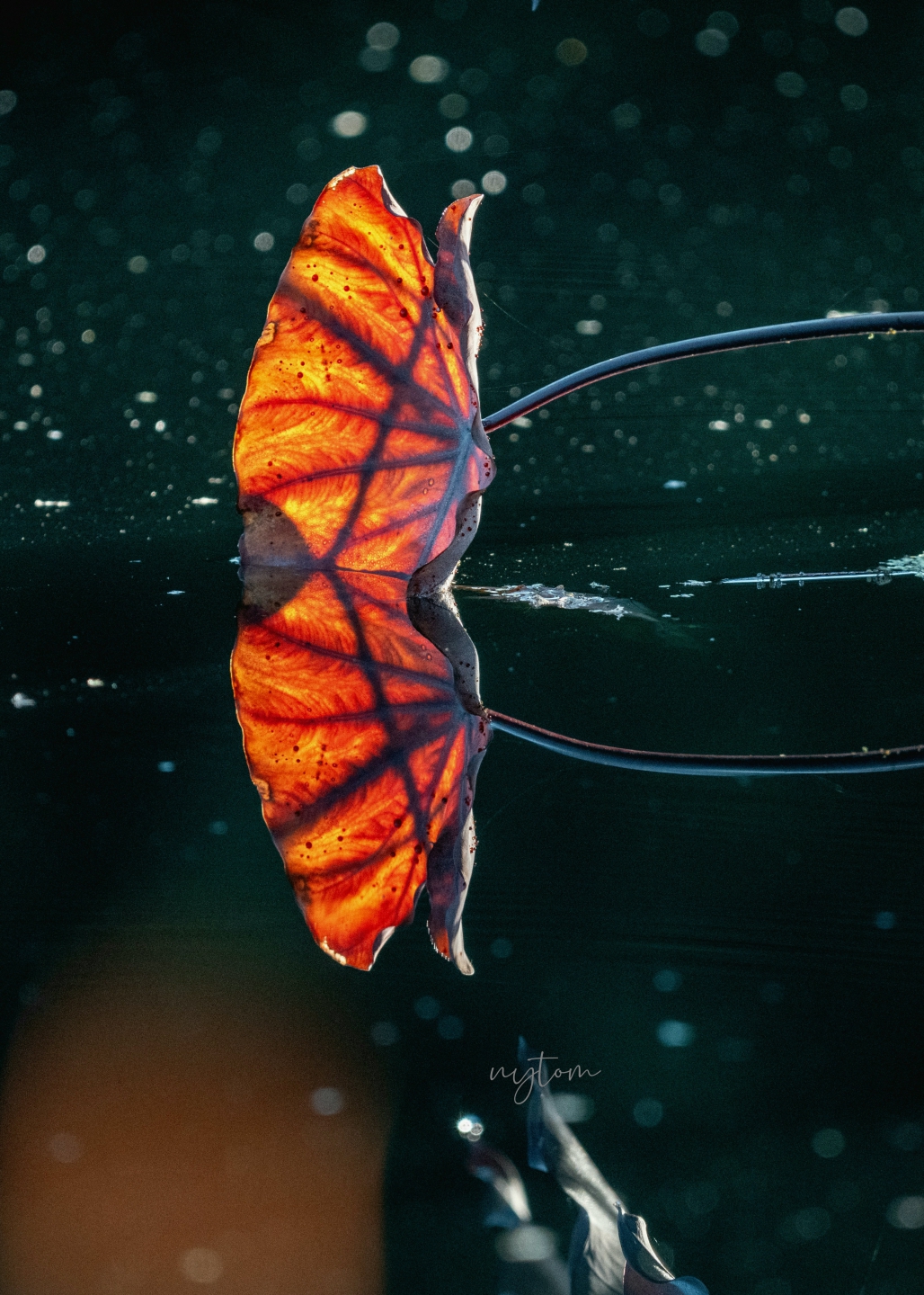 MEITU_20250907_100837358.jpg