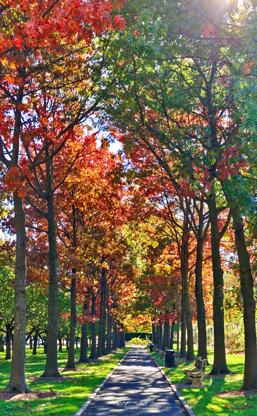 IMG20251104130744 (1)_����.jpg