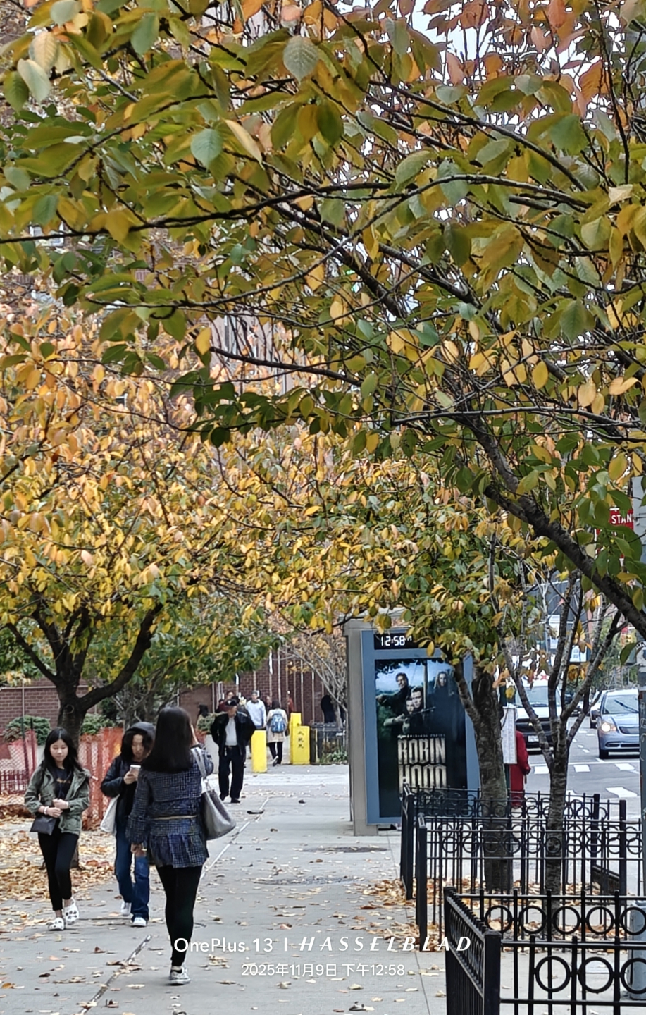 IMG_20251114_191551 (1).jpg