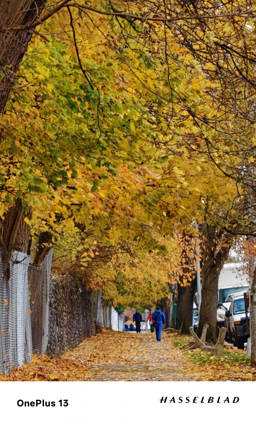 IMG_20251123_182344 (1).jpg