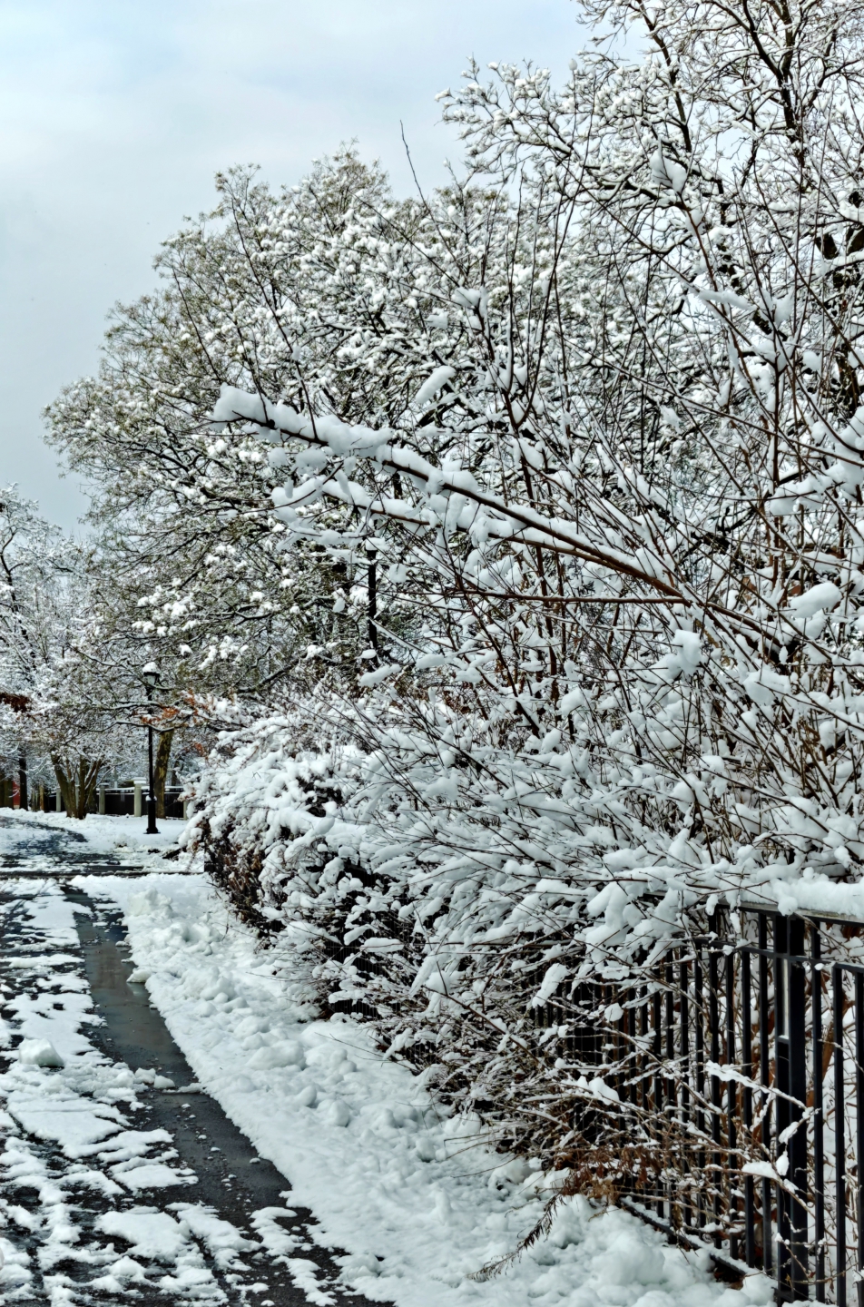 IMG20251214131551 (1)_����.jpg