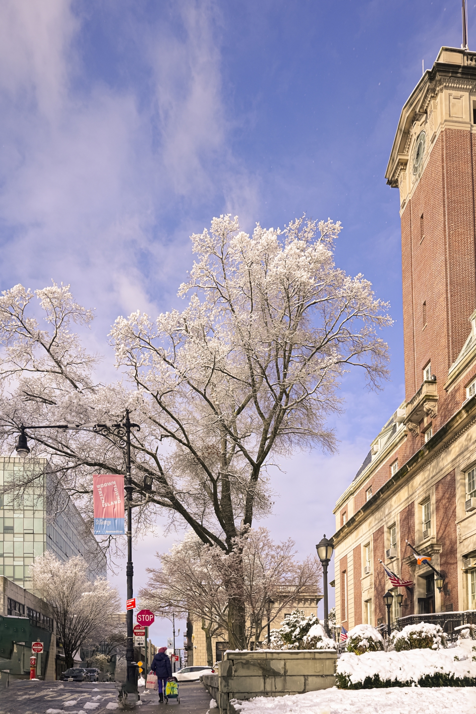 _DSC3282 ��ؐ.jpg