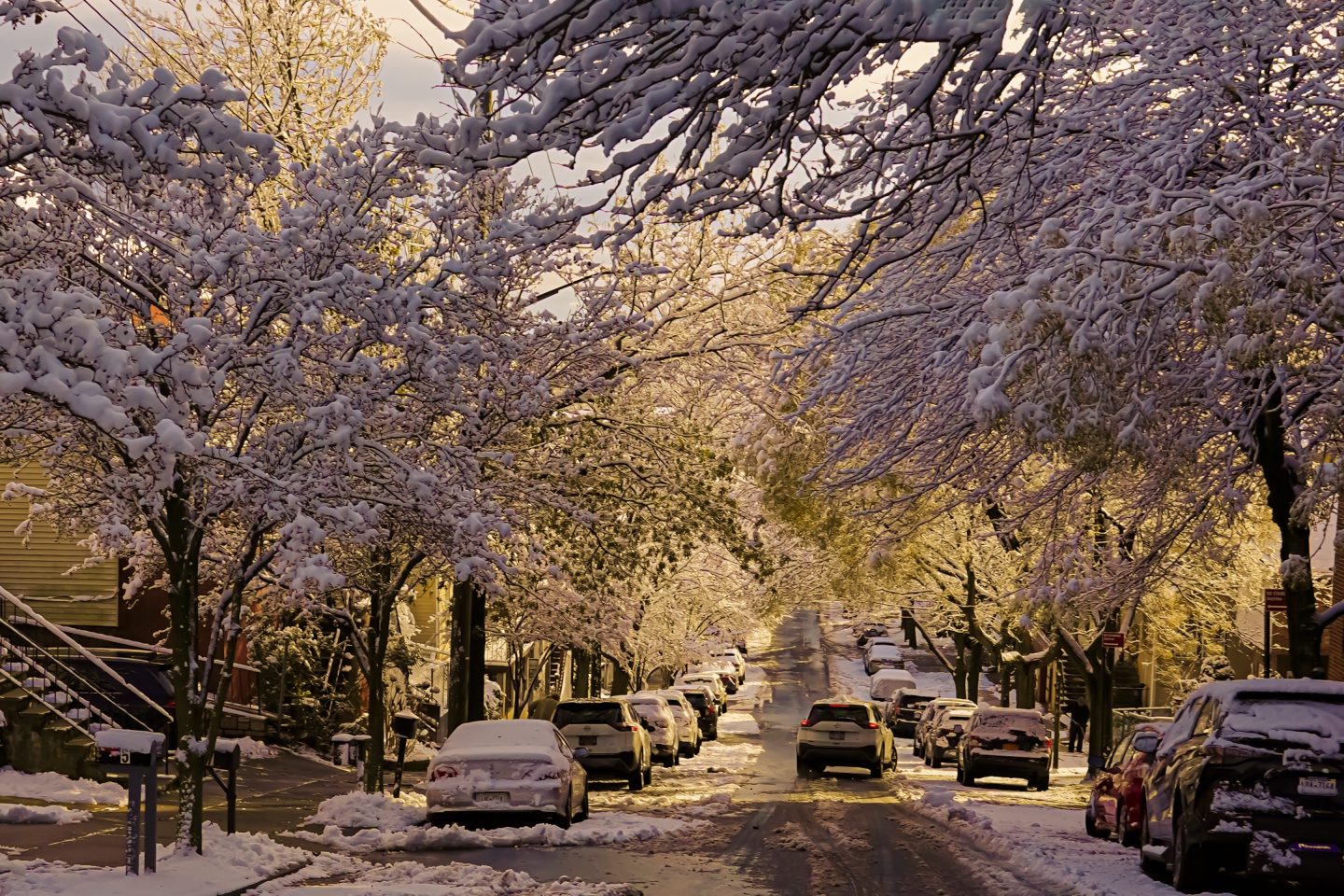 _DSC3313 ��ؐ.jpg