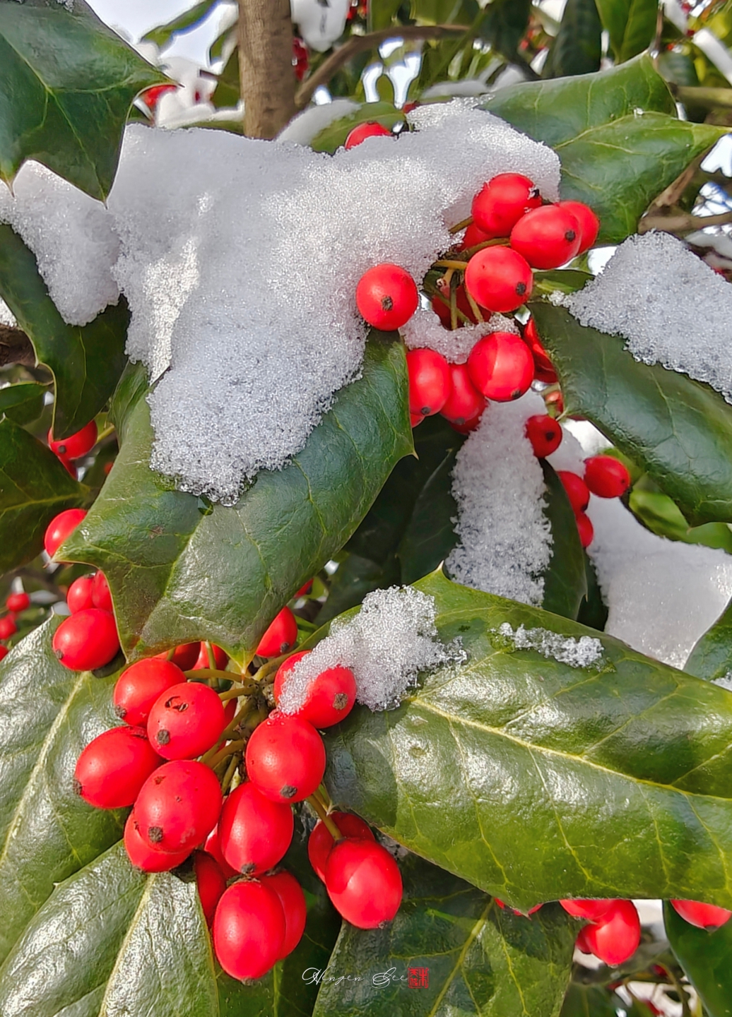 IMG_20251228_110423 (1)_����.jpg