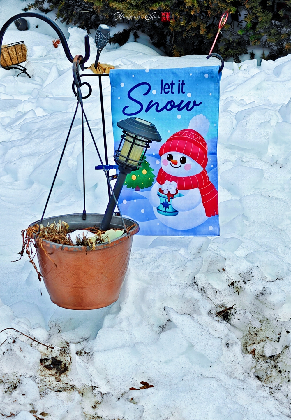 IMG20260203113232 (1)_����.jpg