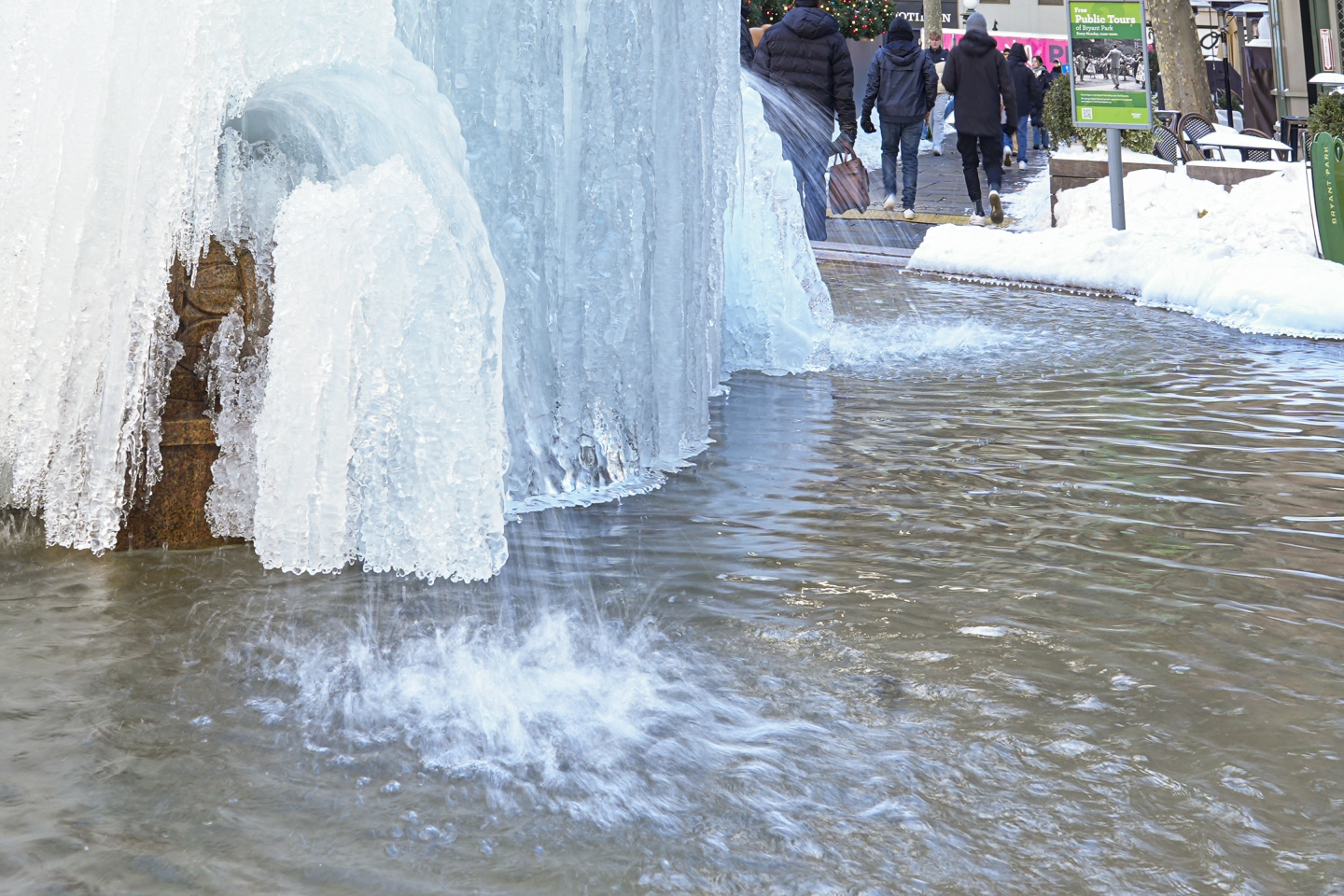 _DSC4573.jpg