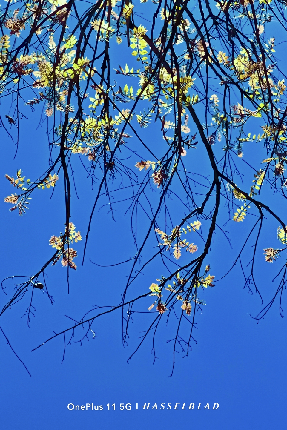 IMG_20260408_125552.jpg