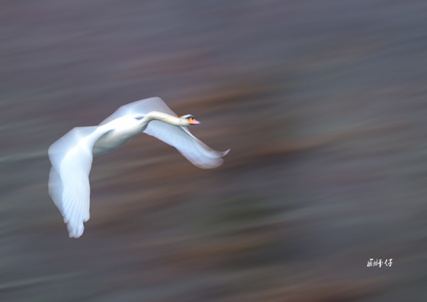 DSC_9439.jpg