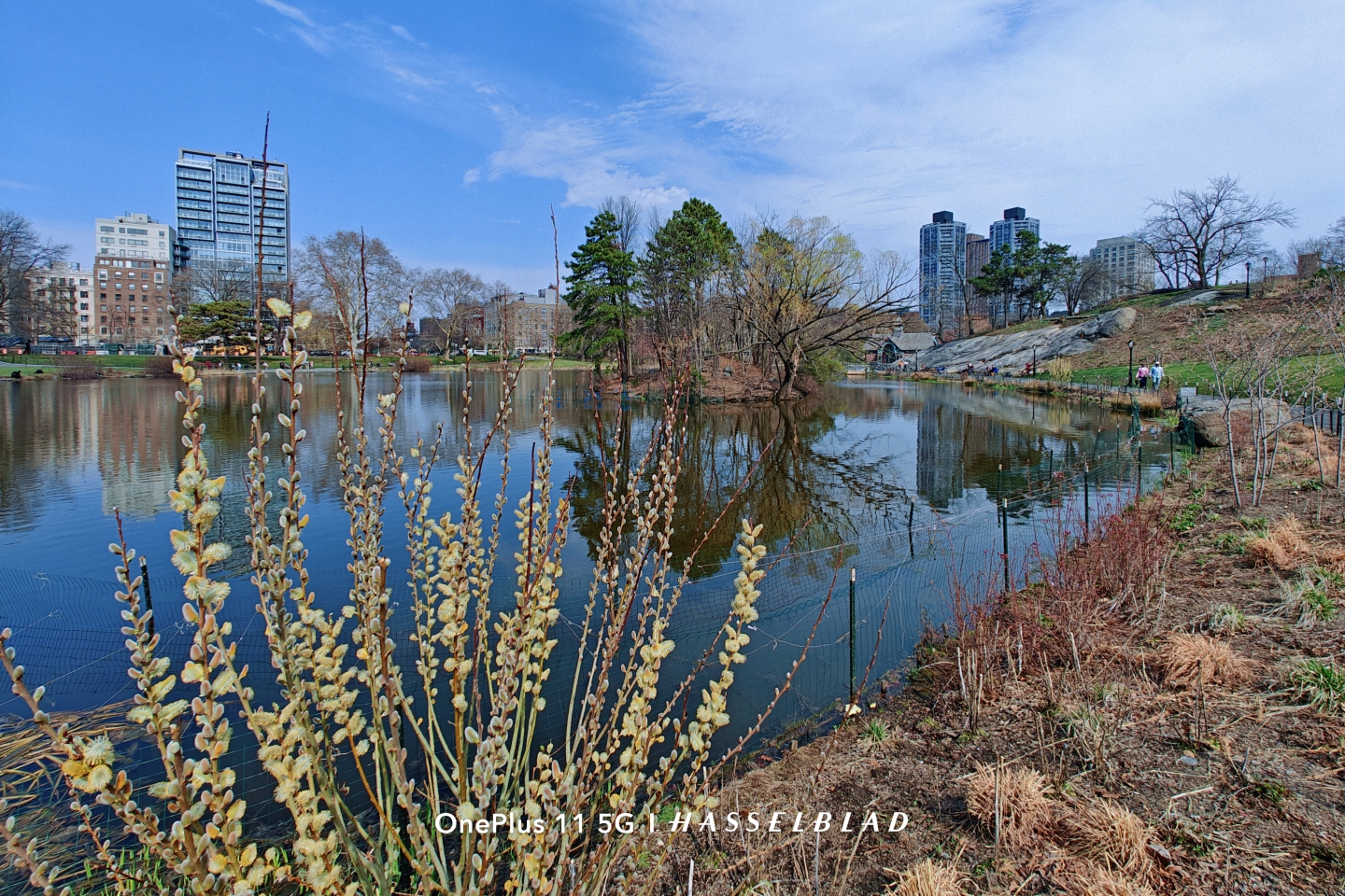 IMG_20260331_164627.jpg