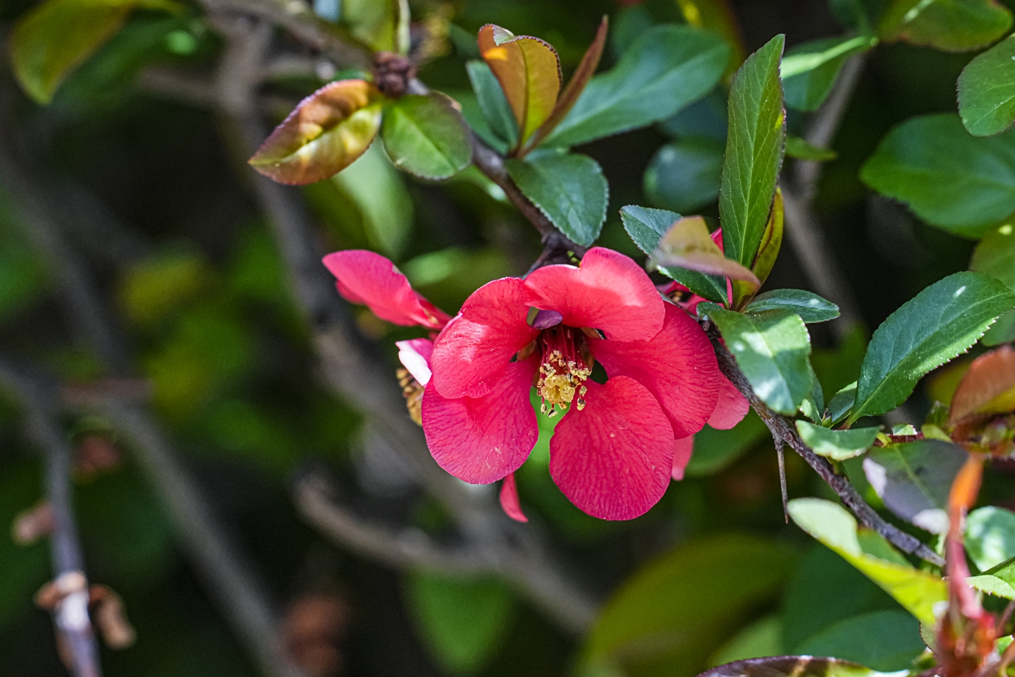 _DSC7574.jpg