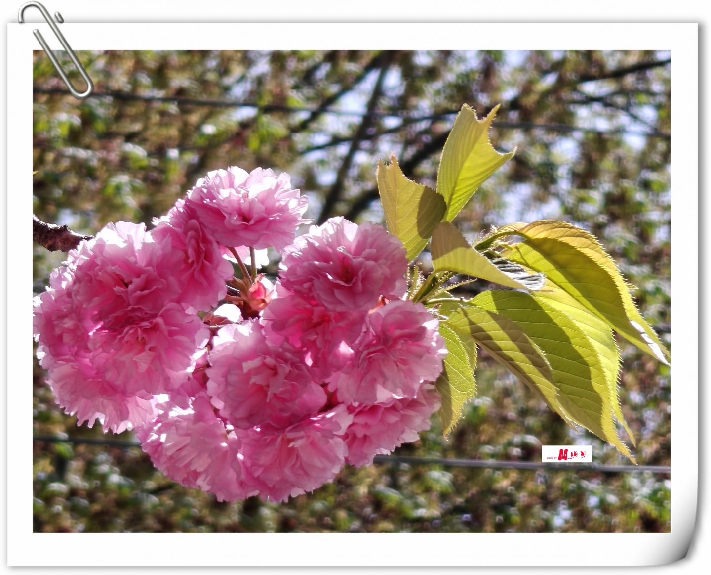 IMG20260418141831_����.jpg
