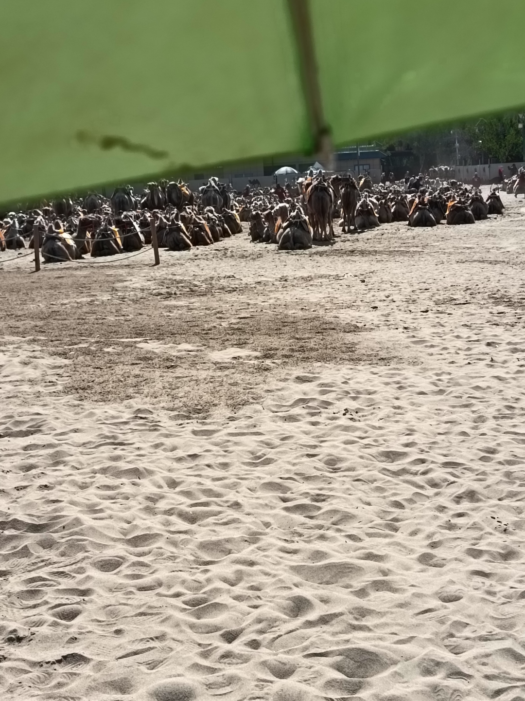 ΢��ͼƬ_20260710103233.jpg