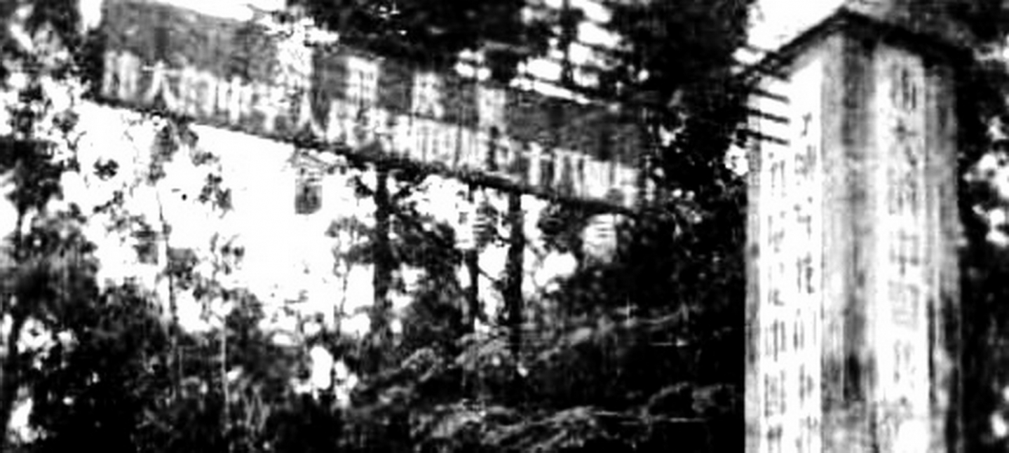 2026_06_14 _2003.jpg