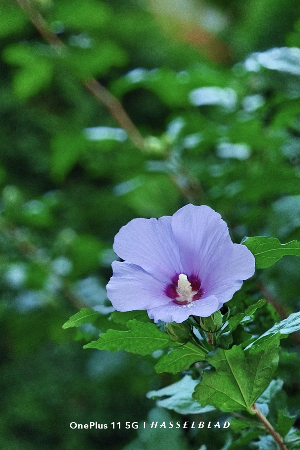 IMG_20260910_184747.jpg