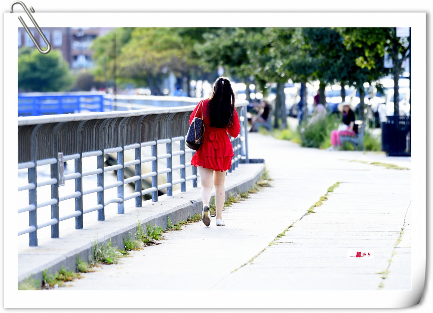 _DAC3396_����.jpg