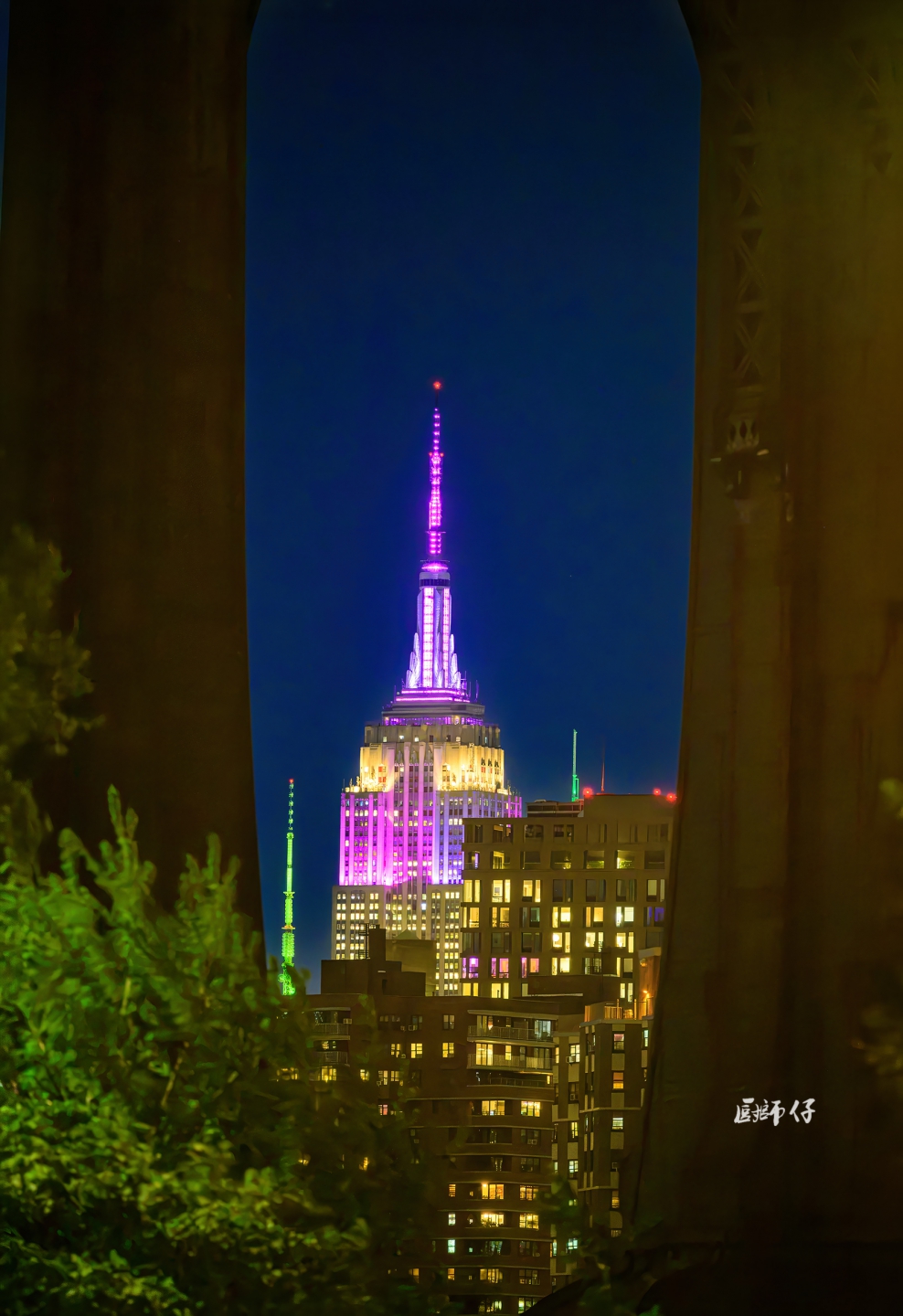 DSC_1787a.jpg