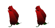лл6.gif