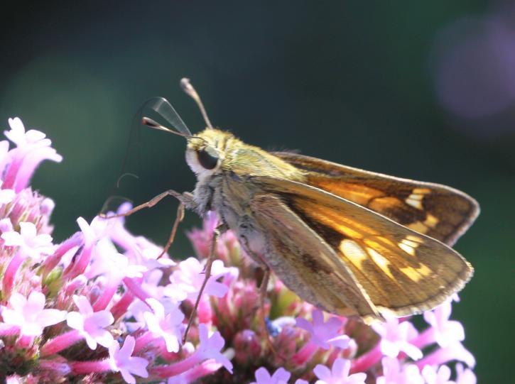 }u -}u -IMG_8415.jpg