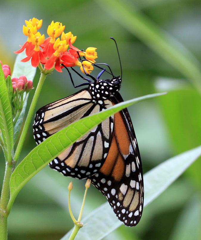 }u -}u -IMG_6695.jpg