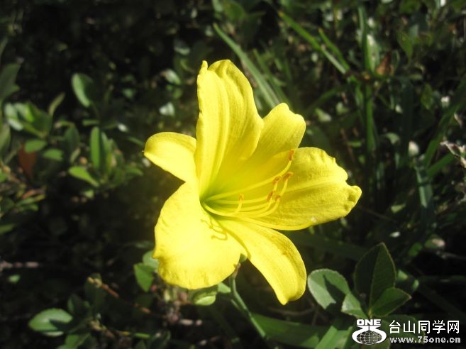 VA Beach&nbsp;&nbsp;&nbsp;&nbsp;9-18.19-2010 466.jpg