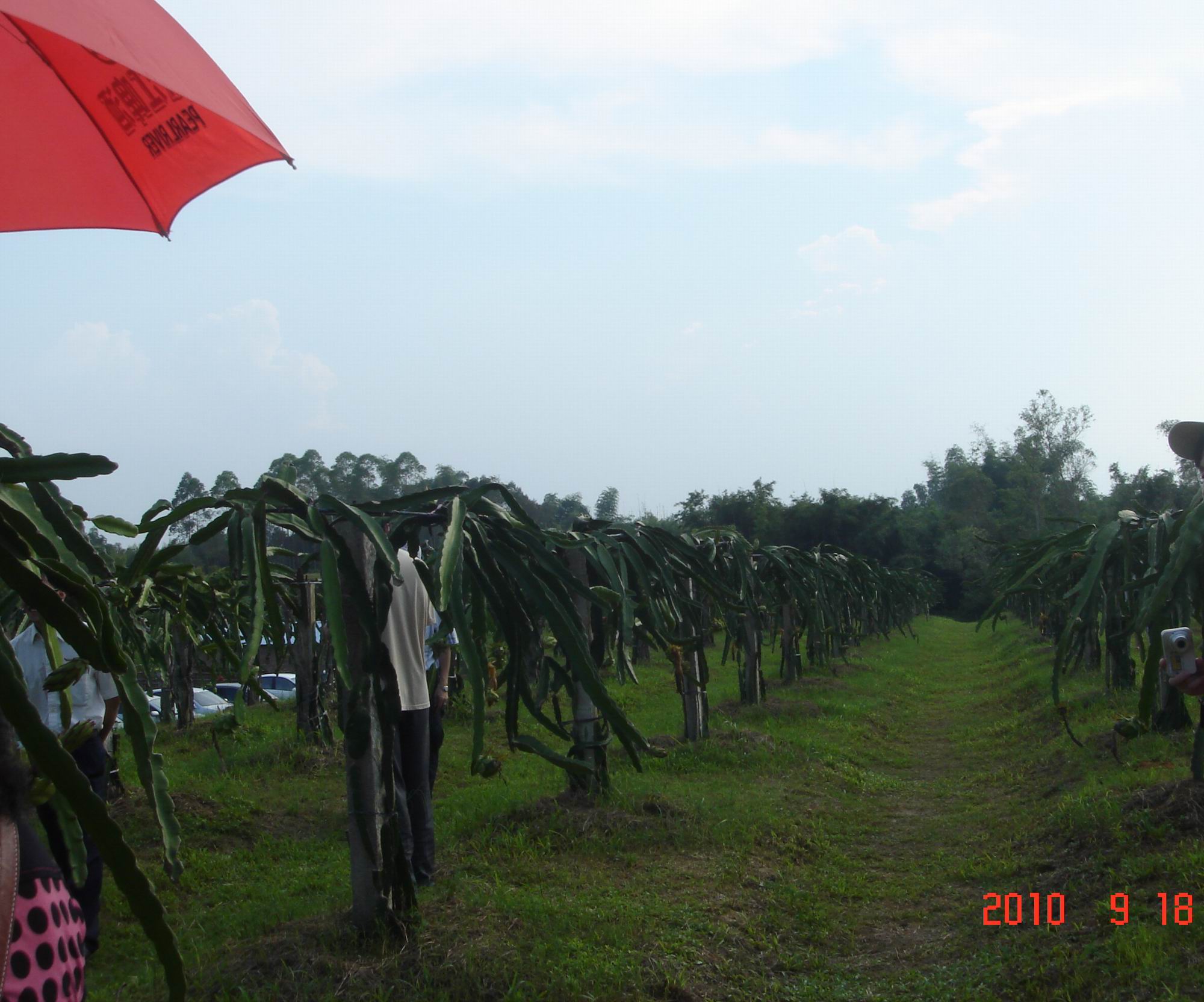 DSC02235.JPG