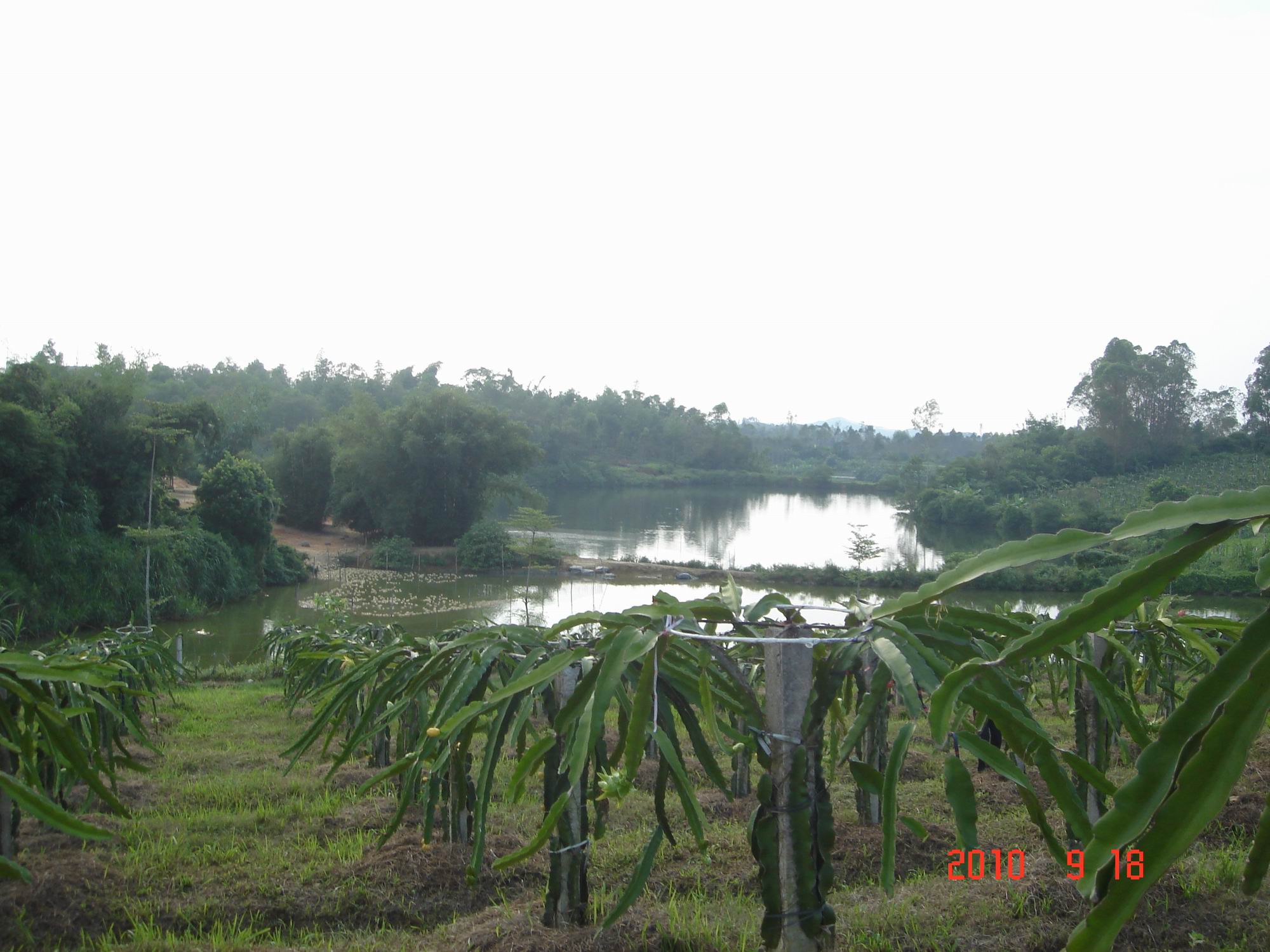 DSC02242.JPG