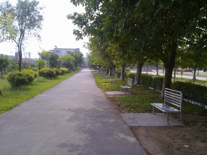 С 20101003273.jpg