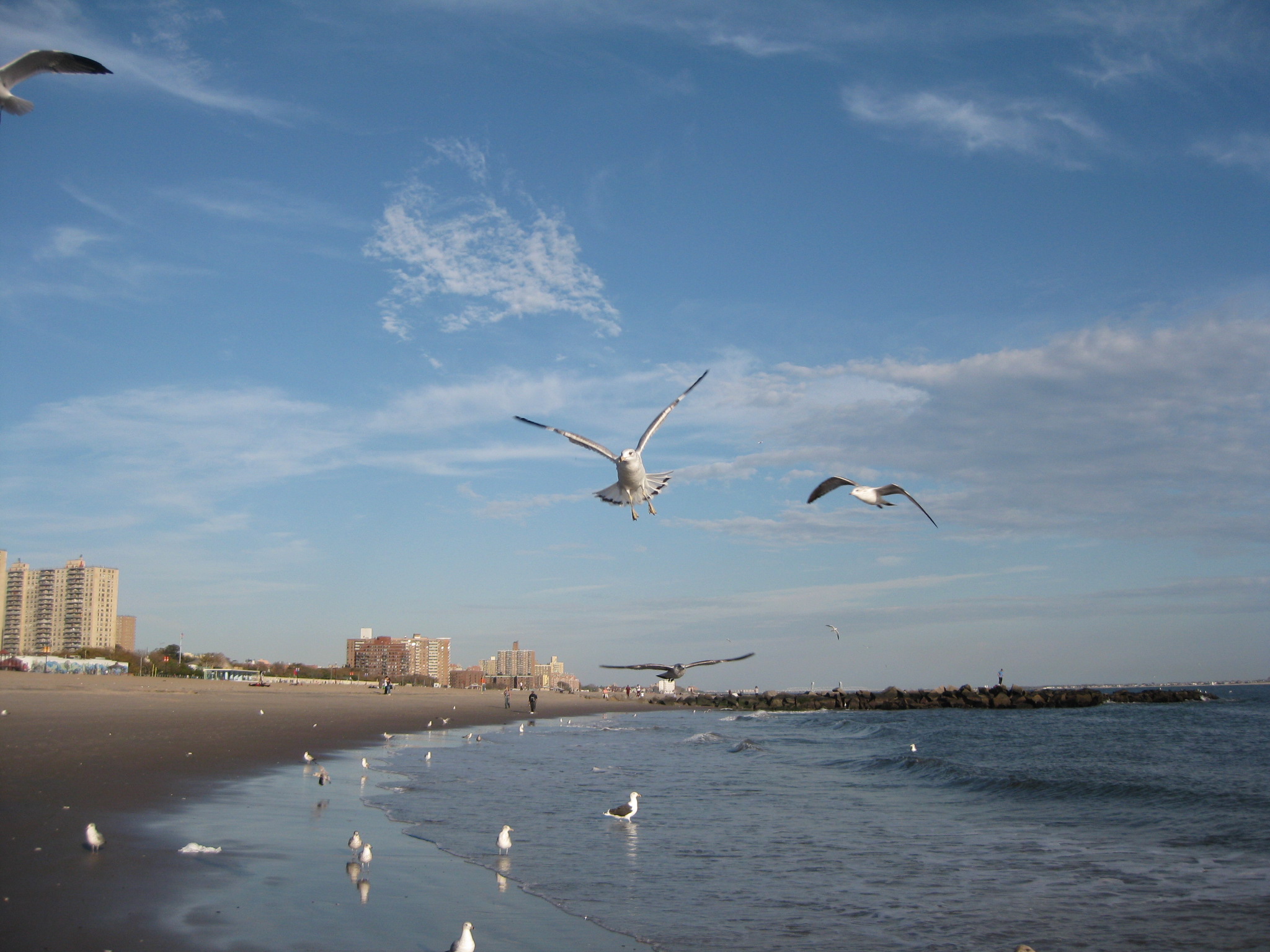 Long Island 131.jpg