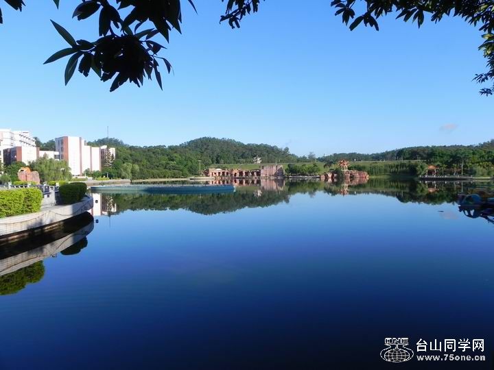 201087235021.jpg